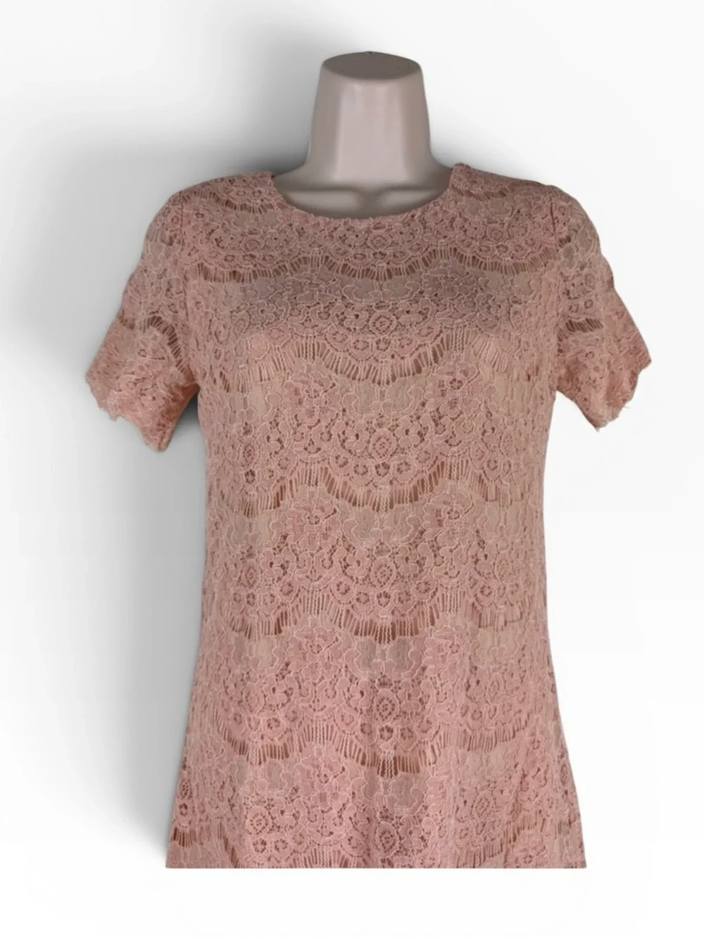 NWT Pink Lily Peach Lace Cocktail Dress Scalloped Hem Wedding Guest S
